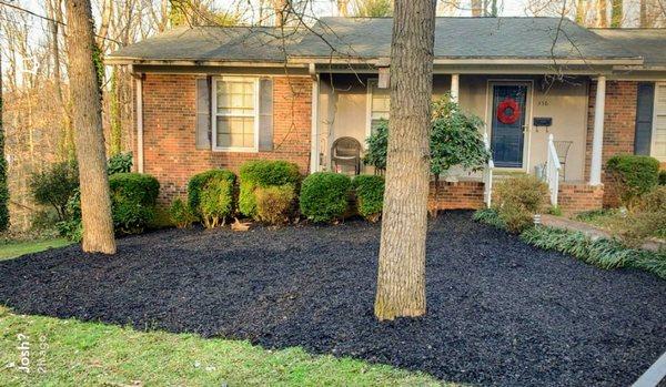 Converted shady spotty grassy area into a beautiful mulched area.