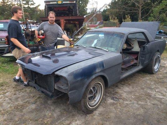 Picked up a 1966 Mustang for restoration, watch for future pics of this project.