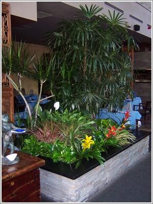 Restaurant Planter