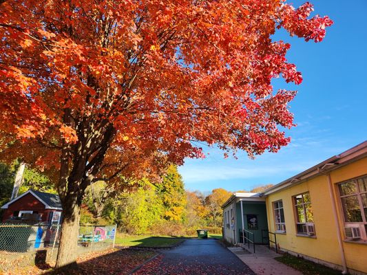 FACE Children's Center Preschool Natick Massachusetts