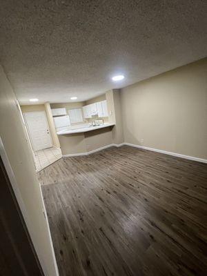 Kitchen, living room painting and flooring installation.