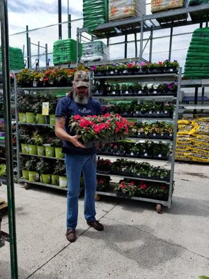 Hubby picking flowers for our front yard.