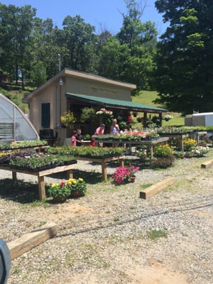 Craggy View Farm Greenhouse and Floral Design