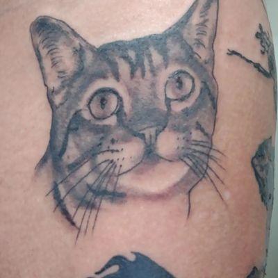 Tattoo of my cat George.