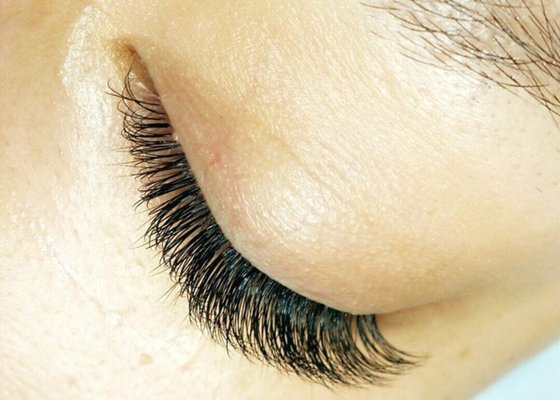 Lash by Kevin