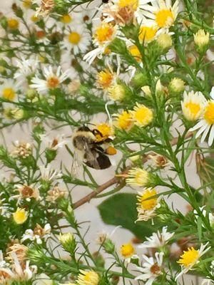 Nahant Marsh Education Center