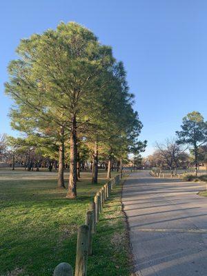 Local parks entrust us to keep their trees beautiful!