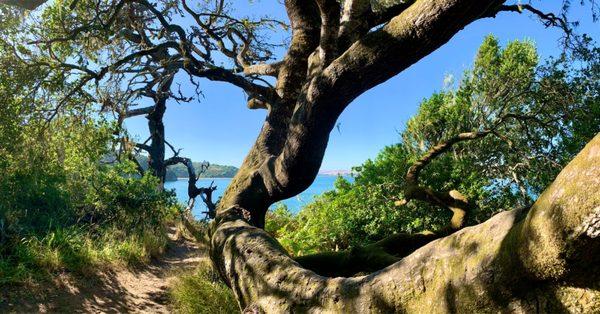 Hidden Picnic Ground