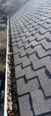 Gutter cleaning - the "before" pic