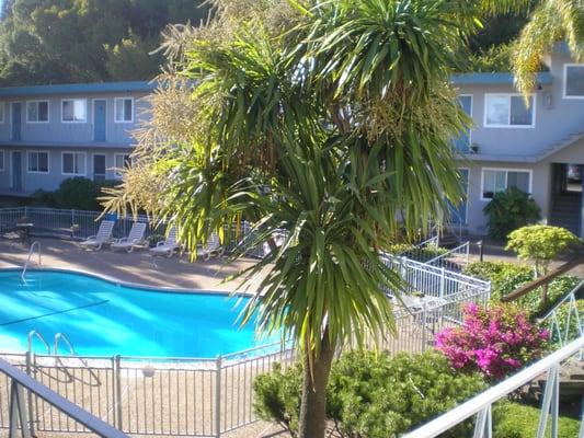 Garden & Pool Courtyard