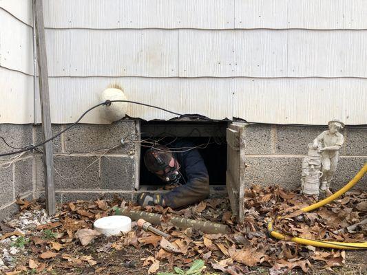 crawl space and foundation inspections