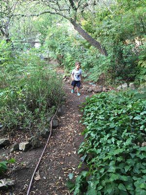 Hiking to the creek