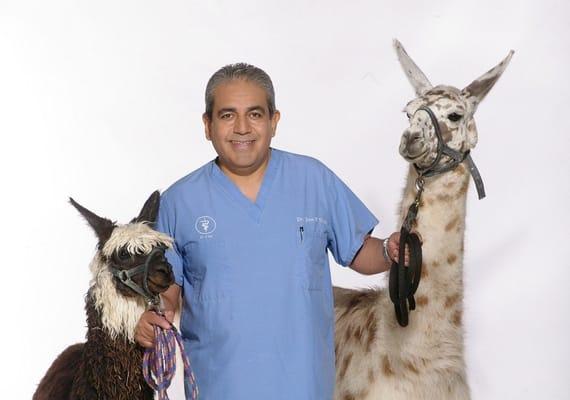 Dr. Toledo in his Nat Geo Mundo premier of Dr Vet Miami Show