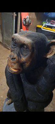 Life Sized Chimpanzee