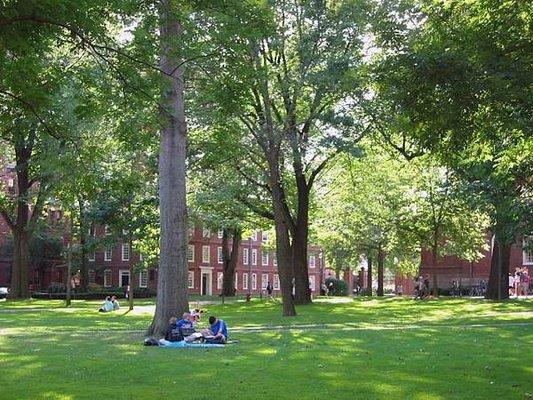 Ivy League Admissions Essay Consulting: Harvard University