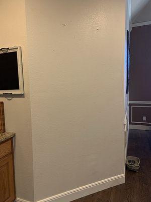 Wall before pantry was started