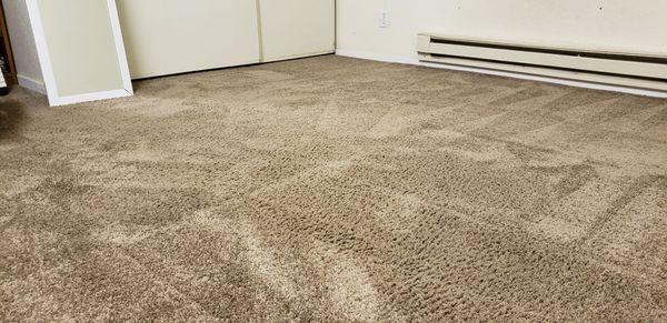 Carpet Maintenance Company