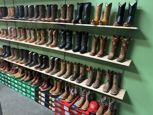 Our boot selection