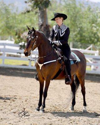 In the line up at the Diamond Jubilee Horse Show