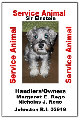 service animal tags emotional support animal tags www.emosdogtags.com cheap animal flights no apartment fee service dog