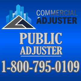 Public Adjuster