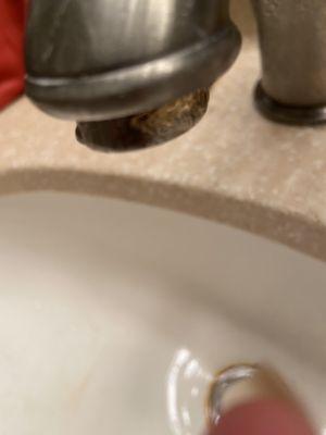 Damaged faucet. They attempted to fit the nozzle to their hose on my faucet. And left without telling me about the damage