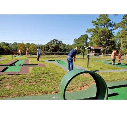 High Falls State park has year around activity just like Mini Golf, Fishing, Boating, Picnic area with bicycle and walking track