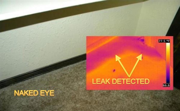 Thermal Imaging can detect water damage past and present.