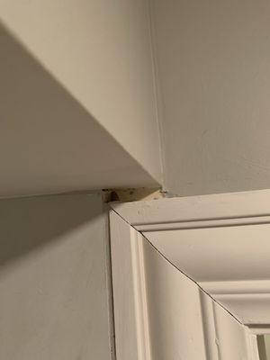 Above my bathroom door