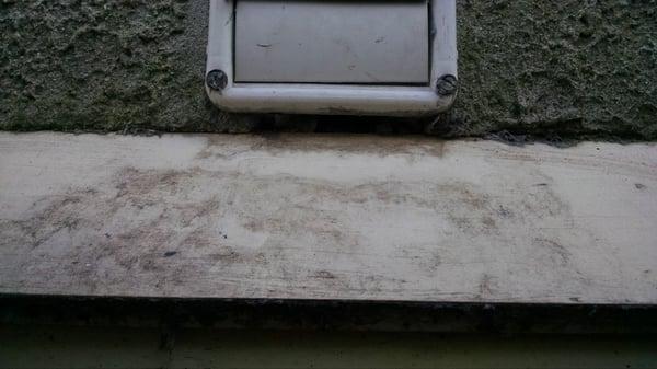 Trying to exclude rodents using a mirror to see the foundation as a mouse would crawling up.  Here an opening below a dryer vent.