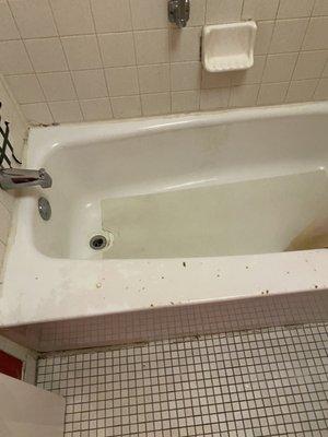 nasty bathtub