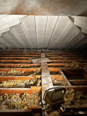 Attic mold remediation