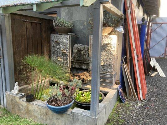 Initial water garden near the front gate