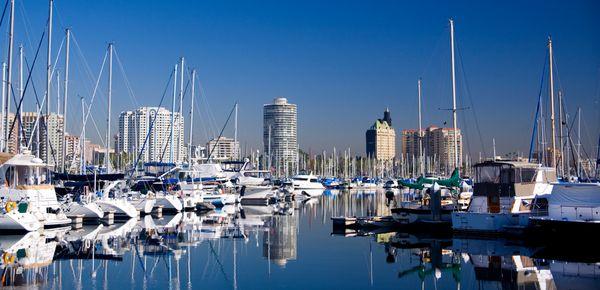 Downtown Skyline From The Marina