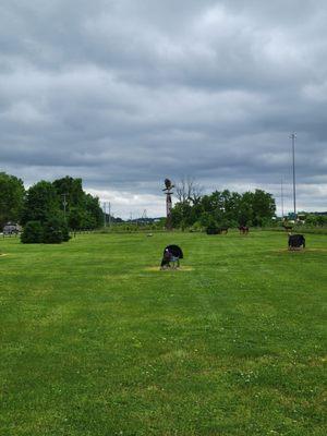 Flight of the Hawk Park