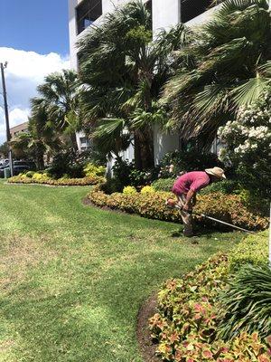 Installed fresh seasonal flowers in Galveston Texas