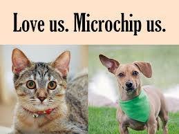 Our clinic also offers discounted micro-chipping. The only LEGAL proof of pet ownership. If your pet is microchipped & is lost a chip helps