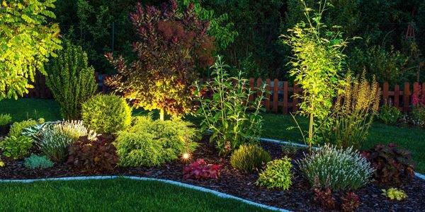 Landscape Lighting