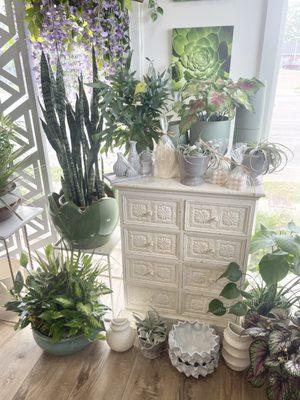 Store refresh! Interior plant display.