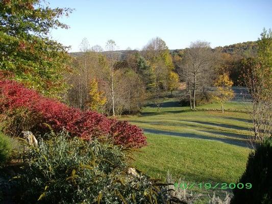 Fall colors