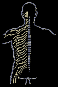 Pain Control Center