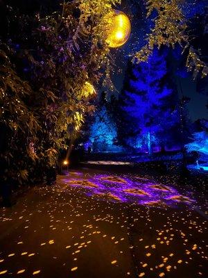 Disco. A Winding Walking Trail with Numerous Themes of Holiday Lights, Music & Decorations @ Lightscape @ The LA Arboretum. Dec.2022