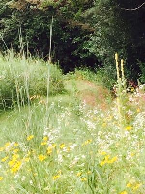 Entrance to the nature trail alongside an authentic Wisconsin prairie.