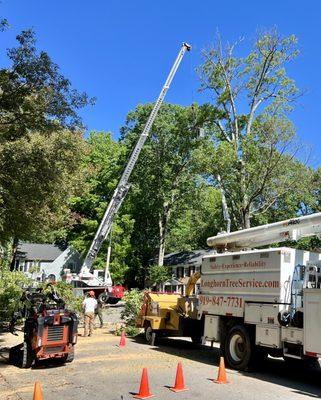 Longhorn Tree Service