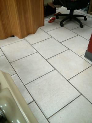 Dead skin on the floor. Not sure how well you can see it.