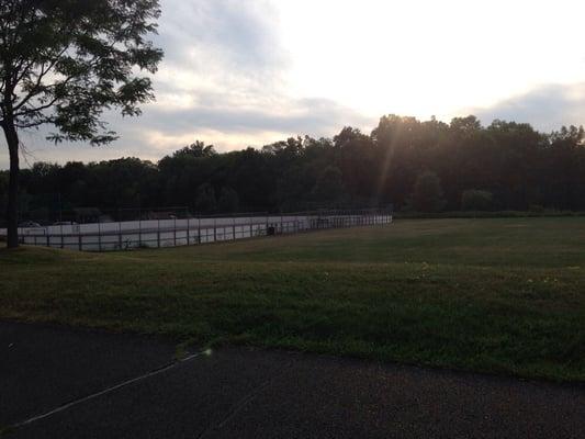 Roller hockey court