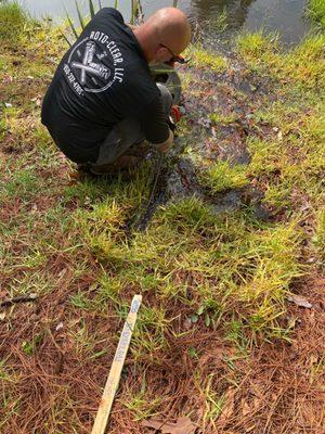 Using a 1/2 drain cleaning cable auger, worked out these roots to allow drainage from a roadway.