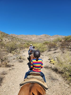 Saguaro Stables