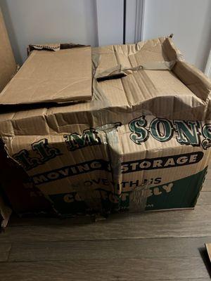 How boxes showed up