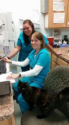 Lindsay and Melissa, just two of our five licensed technicians who help you with all your pet's health care.